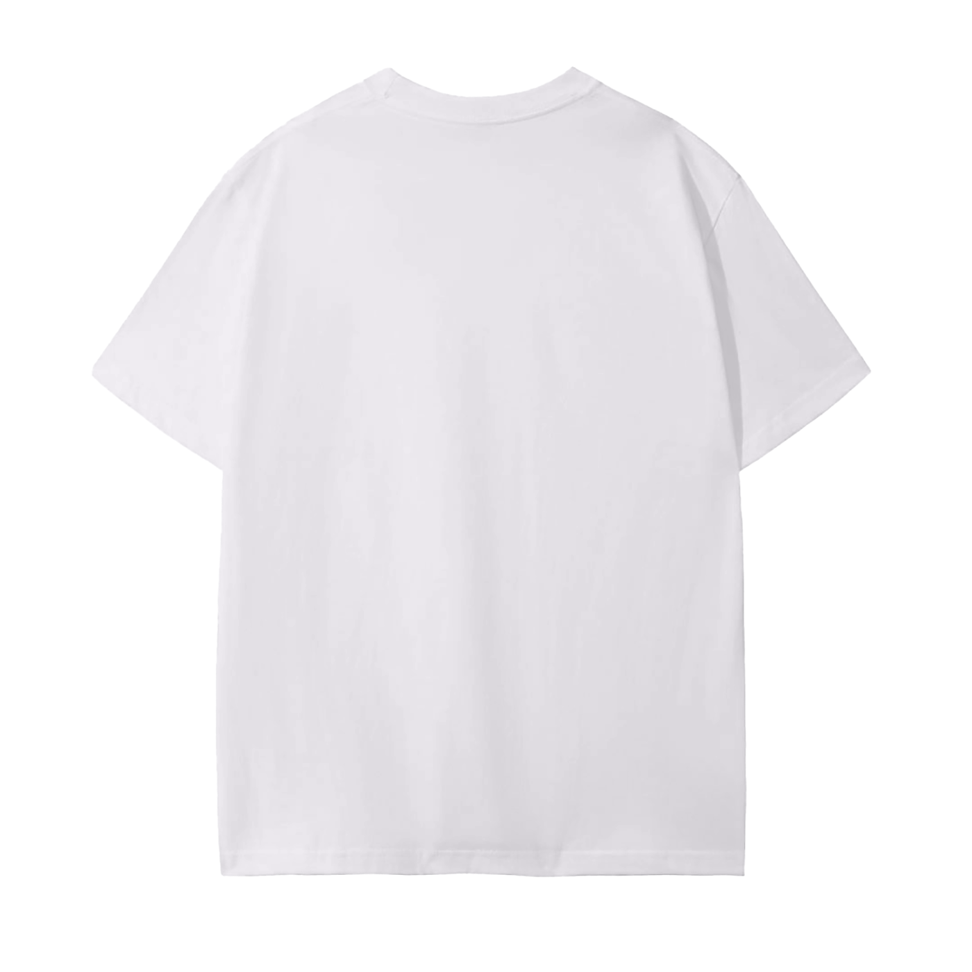 INVICTI NUNQUAM CADUNT COTTON T-SHIRT (DARK)